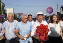 CHP ve Kürt Sorunu